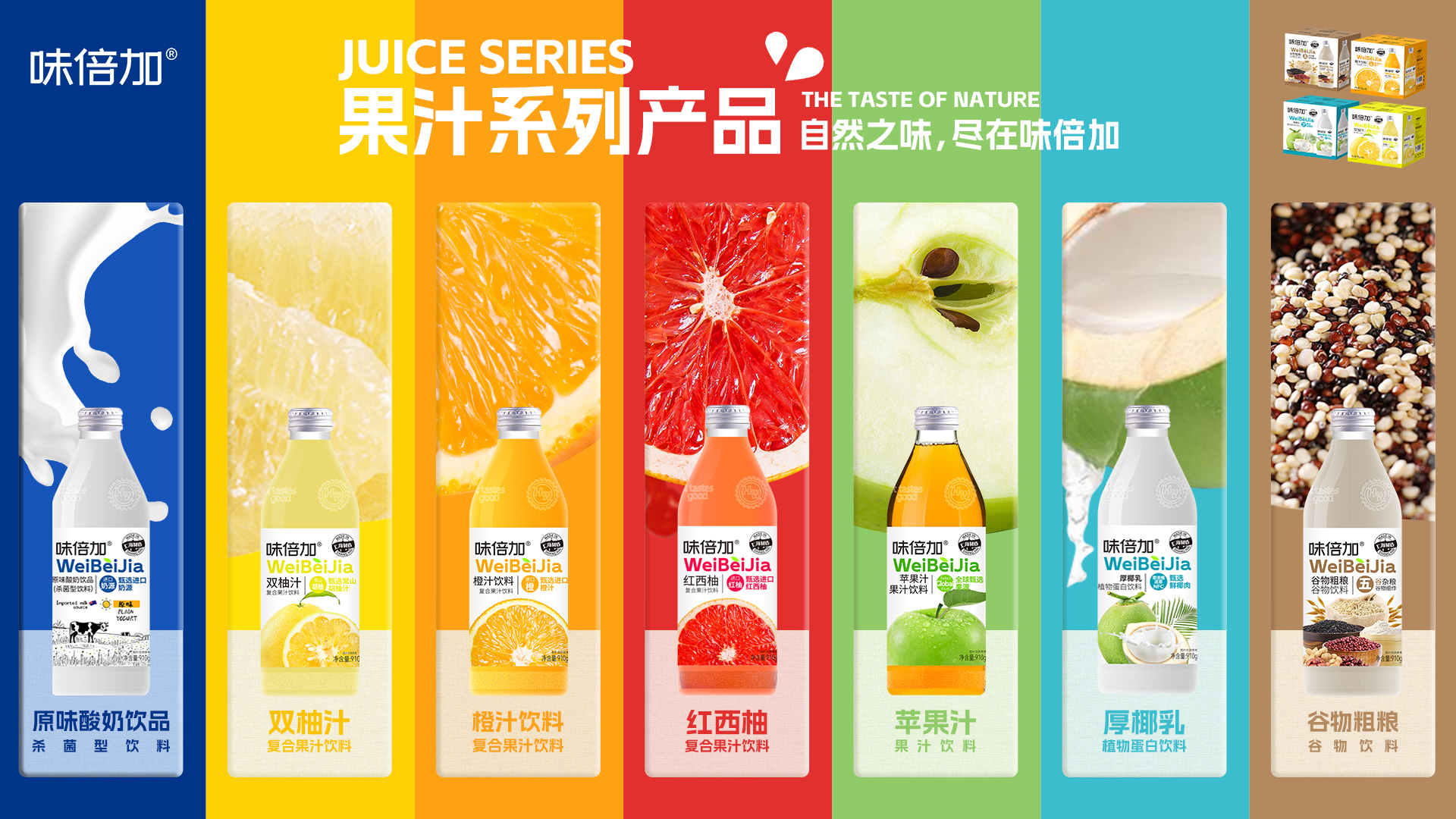电脑版幻灯片1